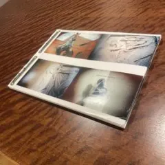 落合陽一 質量への憧憬 サイン入りフォトブロマイド(ラミネート済み