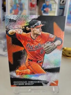 Item thumbnail for item 33430952-cbd7-4056-a05f-19e29a9c9ddb