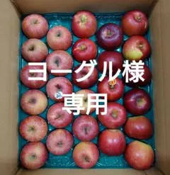 【ヨーグル様専用】