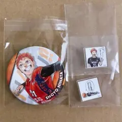 ハイキュー　Vリーグコラボ　日向