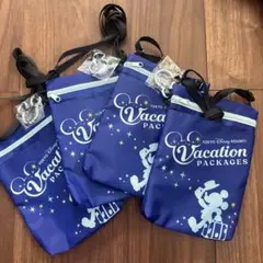 東京ディズニーリゾート バケーションパッケージ ポーチ 4個セット