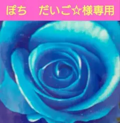 ぽち　だいご☆様専用出品となります