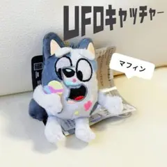 BLUEY ブルーイ　マフィン　単体　マスコット　みんなでアイスクリーム　レア
