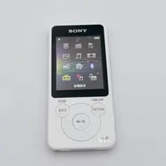 Item thumbnail for item 1c3b64b8-cb2d-44c7-a485-5e4d78f316cc