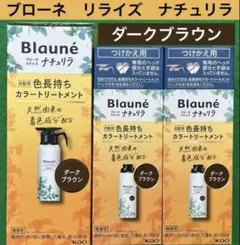 4箱セット 花王 ブローネ リライズ ナチュリラ ダークブラウン