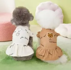 かわいいくまさんロゴ入りフリルワンピース