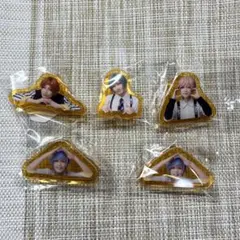 エーステ アクリルクリップ