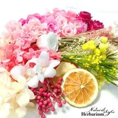 見本！ハーバリウム花材セット22