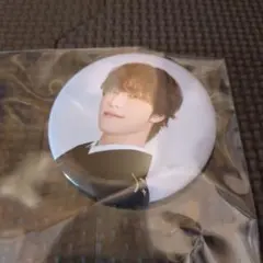 SEVENTEEN 缶バッジ　ディノ