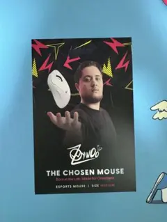 Pulsar Zywoo The Chosen Mouse medium