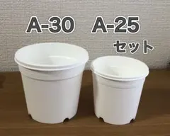 《A-25・A-30》白 プラ鉢 丸型 多肉植物 スリット鉢 セット1510