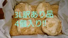 愛様専用出品❗️