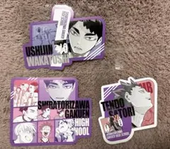 ハイキュー 牛島若利 天童覚 白鳥沢 オリジナルカットカード 3枚セット