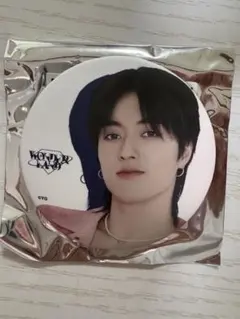 treasure Wonderland 缶バッジ ハルト