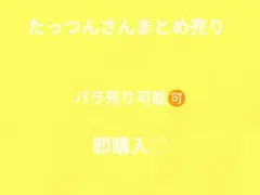 カラフルピーチ たっつんさん グッズセット