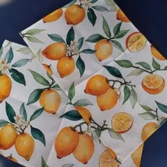 Item thumbnail for item ac883e80-9349-4846-9381-8e83a6106bbf