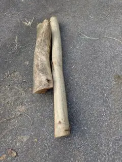 Item thumbnail for item 9b73bfbc-7721-4b5c-b20d-530a8e1a5f25