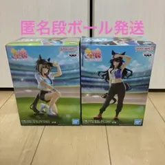 ウマ娘 プリティーダービー シュヴァルグラン & ヴィルシーナ セット