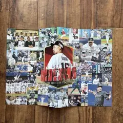 オリックスバファローズ　平野佳寿　応援ボード　引退試合