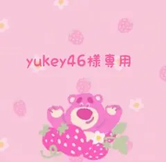 yukey46様専用です