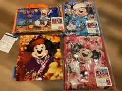 東京ディズニーリゾート ミニー、ドナルド グッズ4点セット