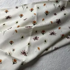 Item thumbnail for item 3642e44c-b52d-4995-894c-30692e7e48e3