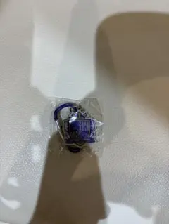 サンフレッチェ広島 カラビナキーホールダー