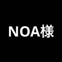 NOA様 リクエスト 2点 まとめ商品