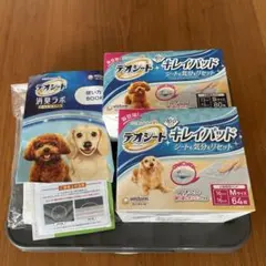 Item thumbnail for item e238543e-8ed4-4156-83eb-ecef3105827f