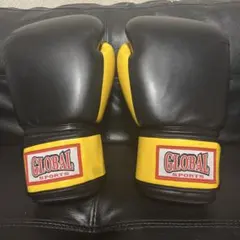グローブ ボクシング