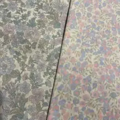 リバティ　タナローン　２枚