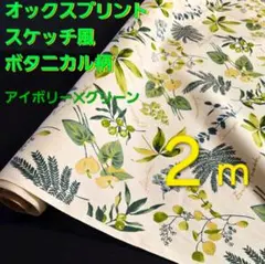 オックスプリント　ボタニカル柄　巾１１０／１１３✕２m　ハウスプランツ　日本製