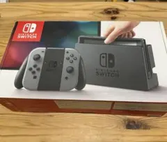Nintendo Switch グレー　 本体 フルセット　おまけ多数