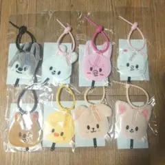 SKZOO PLUSH MINI PICKET KEYRING - メルカリ