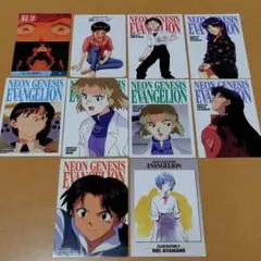 新世紀エヴァンゲリオンカードダスマスターズ初期設定ファイル他10枚セット綾波レイ