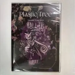 2026年最新】plastic tree パンフレットの人気アイテム - メルカリ