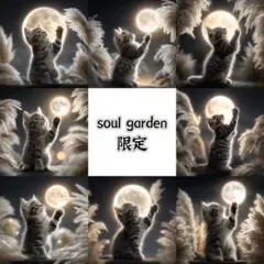 soul garden 251205o