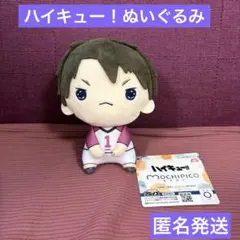 ハイキュー‼︎ もちぴこぬいぐるみ 牛島若利　マスコット　新品　匿名発送