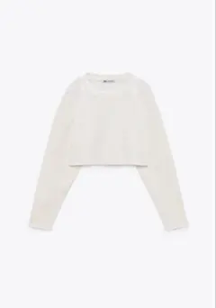 ZARA クロップド丈 トップス