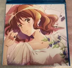 響け！ユーフォニアム 特典 クリアファイル〈久美子＆麗奈〉 京アニ