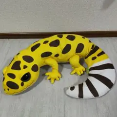 新品　レオパのきいちゃんくるんとポーズ　ウルトラBIG 動物　アニマル
