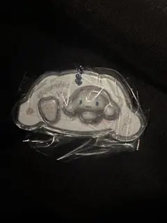 サンリオキャラクターズ パッケージチャーム＆チョコボーロ シナモロール