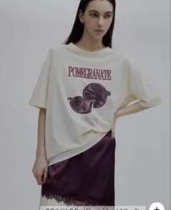 Ameri MEDI NUTRIENT AT FRUIT LAYERED TOPのサムネイル