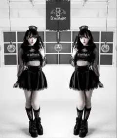 DimMoire ベロアビスチェ セットアップ