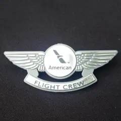 ノースウェスト航空CAのウイングバッジ 実物!1980年代!ノースウエスト航空ウィングバッジ - メルカリ