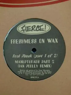 T*o様 Lord Finesse PARTY OVER HERE BIG L - メルカリ