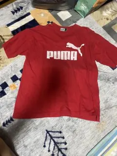 Item thumbnail for item b456072b-9eb0-47c2-a48c-da4b83c788ff