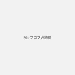 M⭐︎プロフ必読様 専用出品