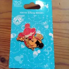 東京ディズニーランド　30周年　ピンバッチ