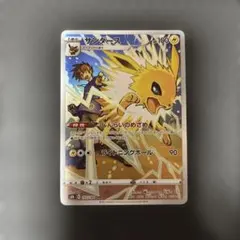 ポケモンカード サンダース CHR 193/184のサムネイル